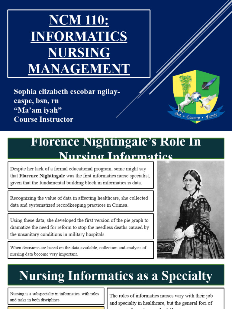 Nursing Informatics Roles and Education | PDF | Nursing | Health ...