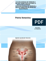 Pelvis Femenina