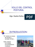 Mecanismo Del Control Postural