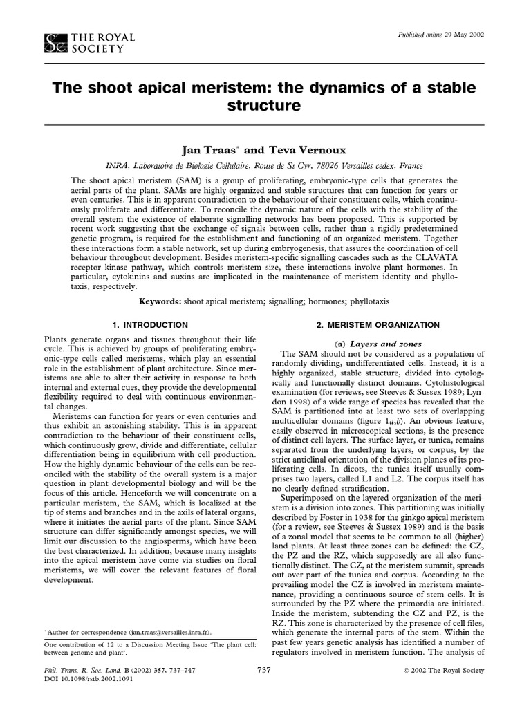 The Shoot Apical Meristem The Dynamics of A Stable Structure | PDF ...