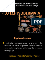 EQUINODERMOS