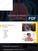 Clase 2 Sistemarespiratorioyalteraciones