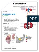 Kidney and Urinary Systm