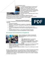 La Contaminación A Nuestro Planeta