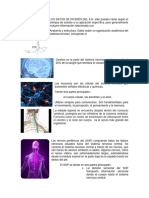 Los Datos de Interés Del Sistema Nervioso