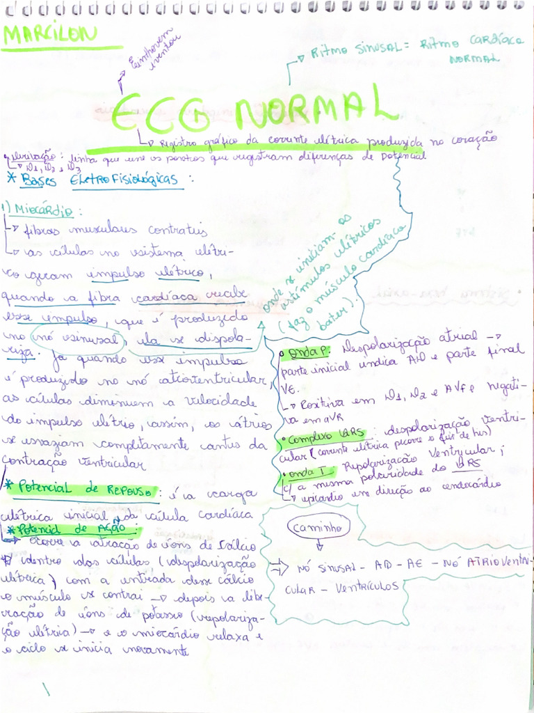 Ecg Normal | PDF
