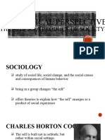 Chapter 2.5 Sociological Perspectives
