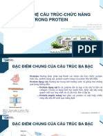 Cấu trúc protein