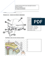 Pranchas 03 04 05