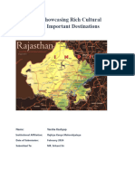 Rajasthan PPT 1