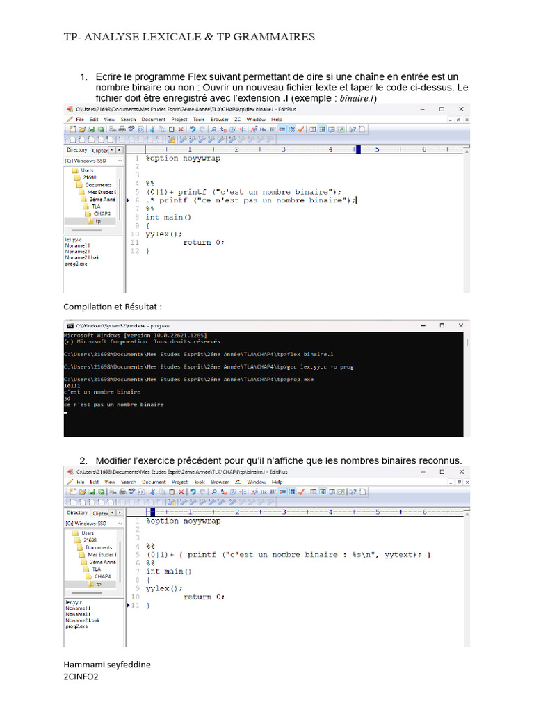 Analyse Lexicale avec Flex et MATLAB | PDF