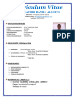 Curriculum Vitae Daniel Giler Castro 2