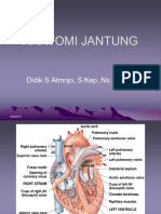 82951986277anatomi-jantung