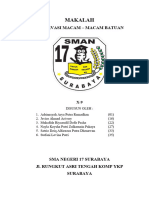 Makalah Observasi Macam-Macam Batuan