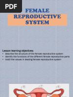 Female Reproductive System