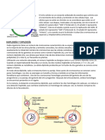 Ciclo Celuar