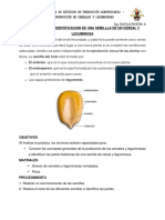Practica #01 - Generalidades de La Prod. de Cereales y Leg