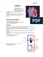 Resumos Anatomia