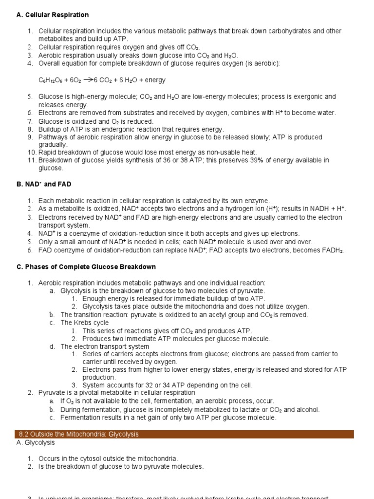 Cell Resp Notes | PDF | Cellular Respiration | Adenosine Triphosphate
