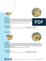 Leitos Filtrantes