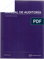 Manual Auditoria