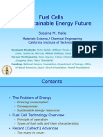 Fuel Cells for a Sustainable Energy Future