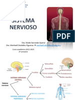 7 Medulaespinal