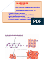 Tema 2 Bqbt. Composicion y Estructura de Las Proteinas 2022