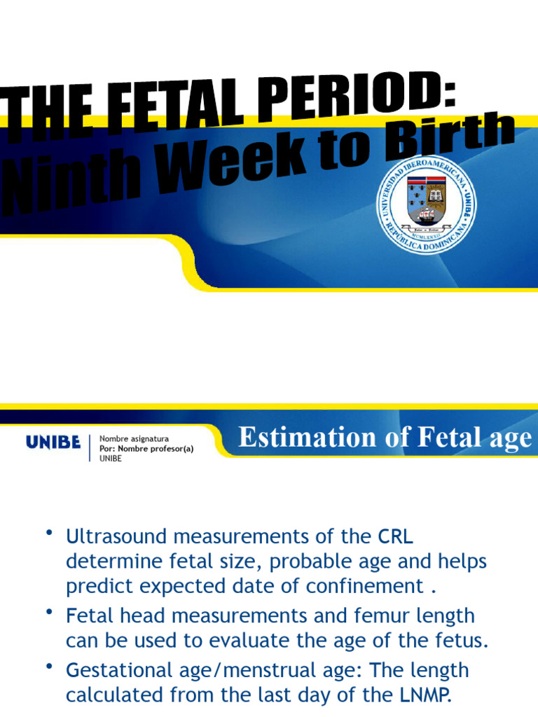Embryo Second Week | PDF | Vertebral Column | Vertebra