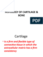 Cartilage& Bone