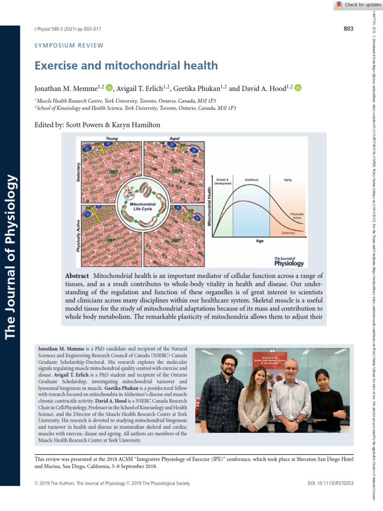 Mitochondrial Health and Exercise Insights | PDF | Mitochondrion ...