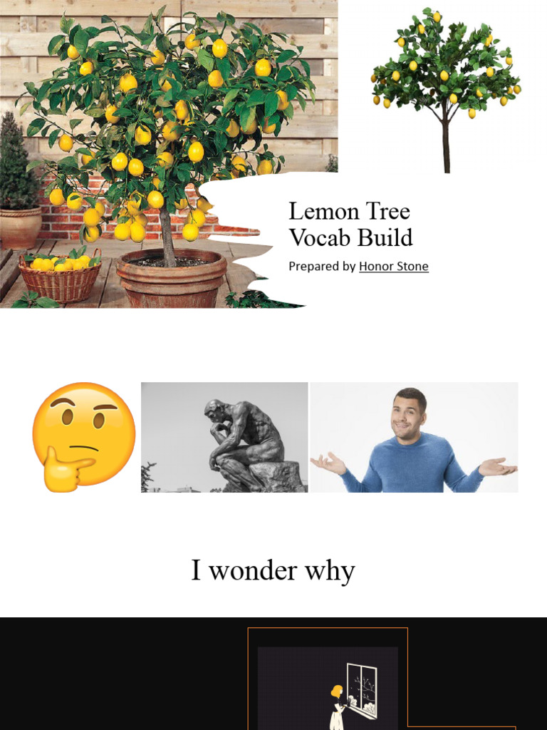 Lemon Tree Pre-Listening Activity | PDF