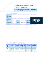 PROYECTO DE APRENDIZAJE No 01