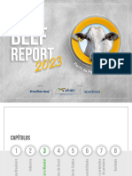 Beef Report 2023