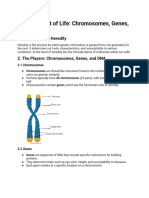 The Blueprint of Life - Chromosomes, Genes, and DNA