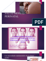 Salud Mental Perinatal