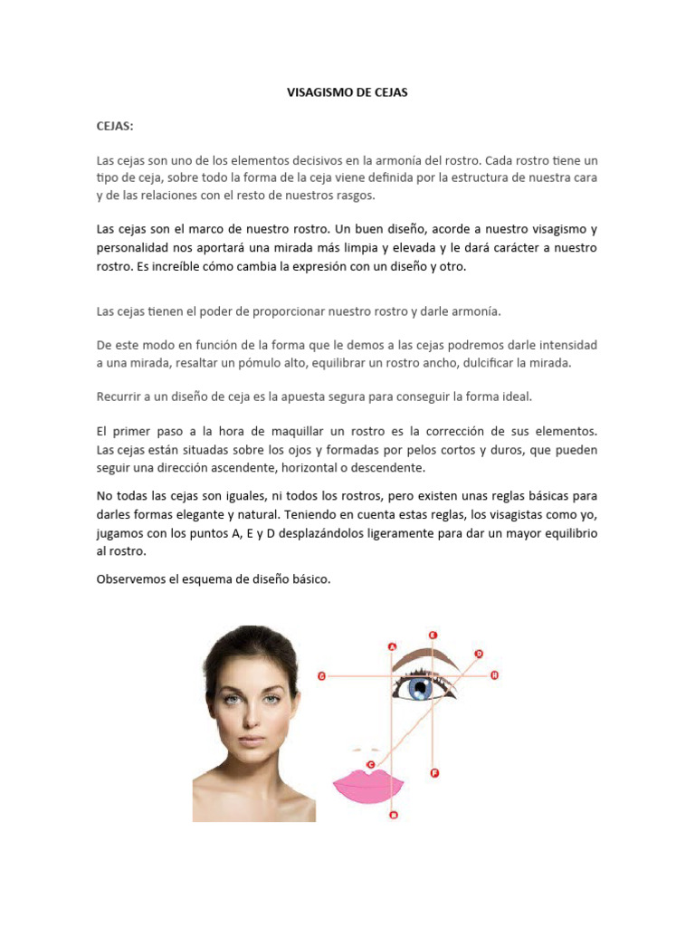 Visagismo de Cejas: Guía Completa | PDF | Ceja | Cara