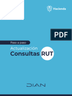 Paso A Paso Actualizacion Consultas RUT