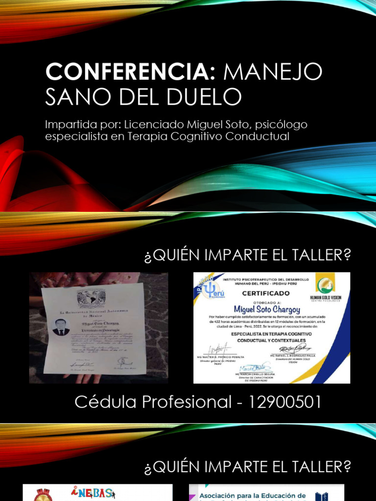 Manejo Sano del Duelo: Estrategias Clave | PDF | Dolor | Las emociones
