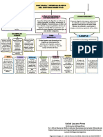 Mapa Conceptual