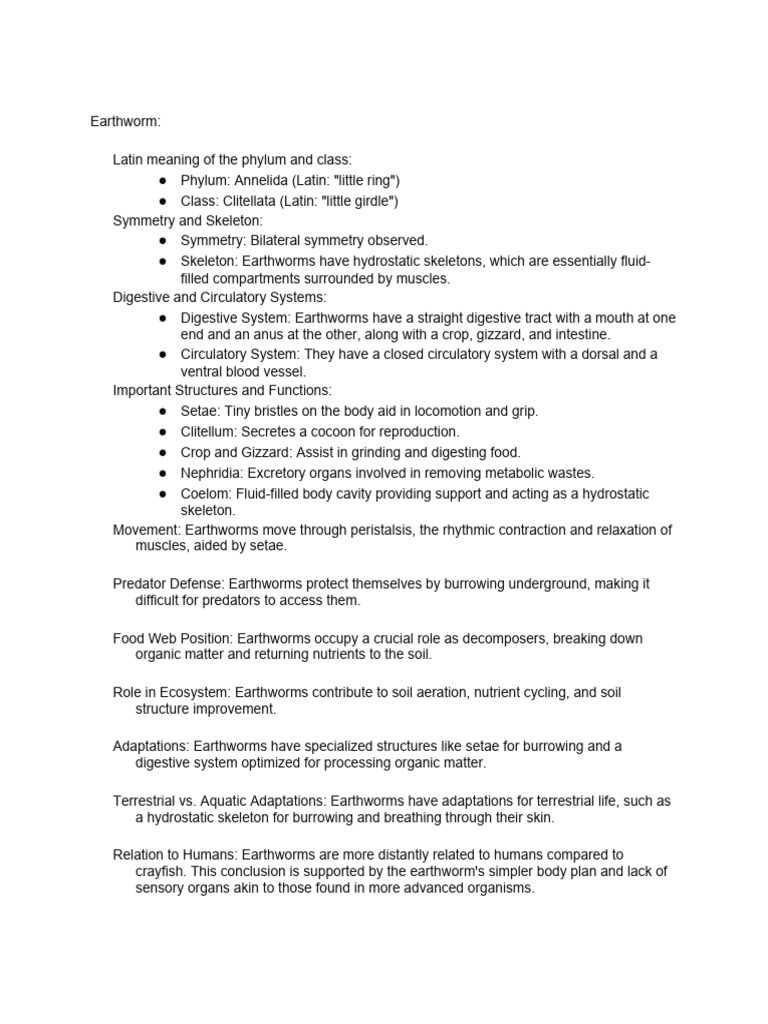 Disection Lab Quiz Prep | PDF | Zoology