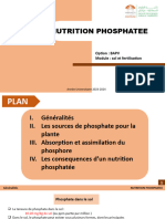 Nutrition Phosphatee