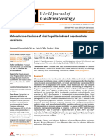 D Sousa 2020 Molecular Mechanisms of Viral Hepatitis Induced Hepatocellular Carcinoma