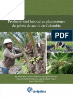 Productividad - Laboral - en - Plantaciones - de Palma
