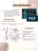 Sistema Nervioso (Catalogo)