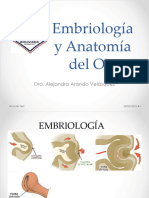 Tema 1 Embriología y Anatomía