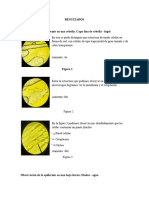 RESULTADOS Genetica