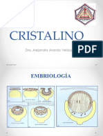 Tema 8 Cristalino