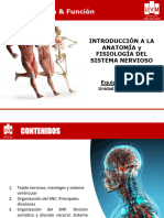 Cátedra 2 Anatomía y Fisiología Del Sistema Nervioso