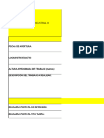 3-ForMATO - PERMISO T.S.a. Resolución 4272 Formato Excel